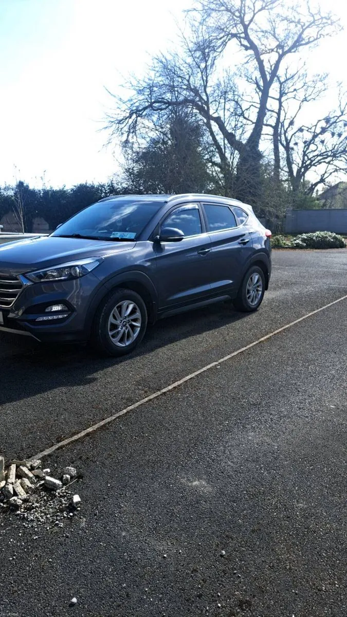 Hyundai Tucson executive door - Image 2
