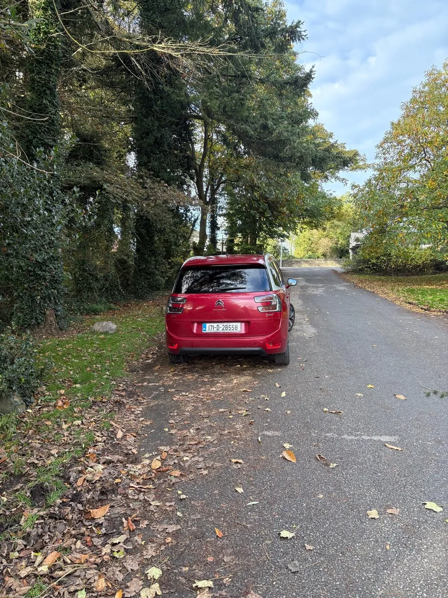 Citroen C4 Picasso - Image 2