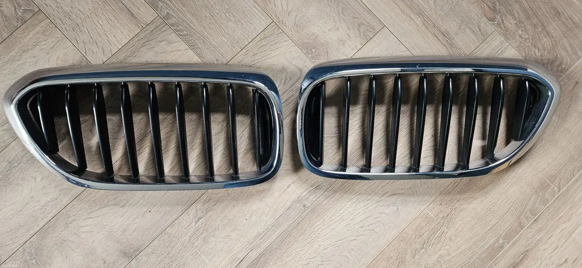 BMW Kidney Grilles - Image 1