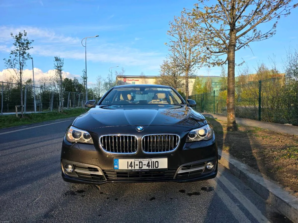 Bmw 518d SE Auto - Image 3