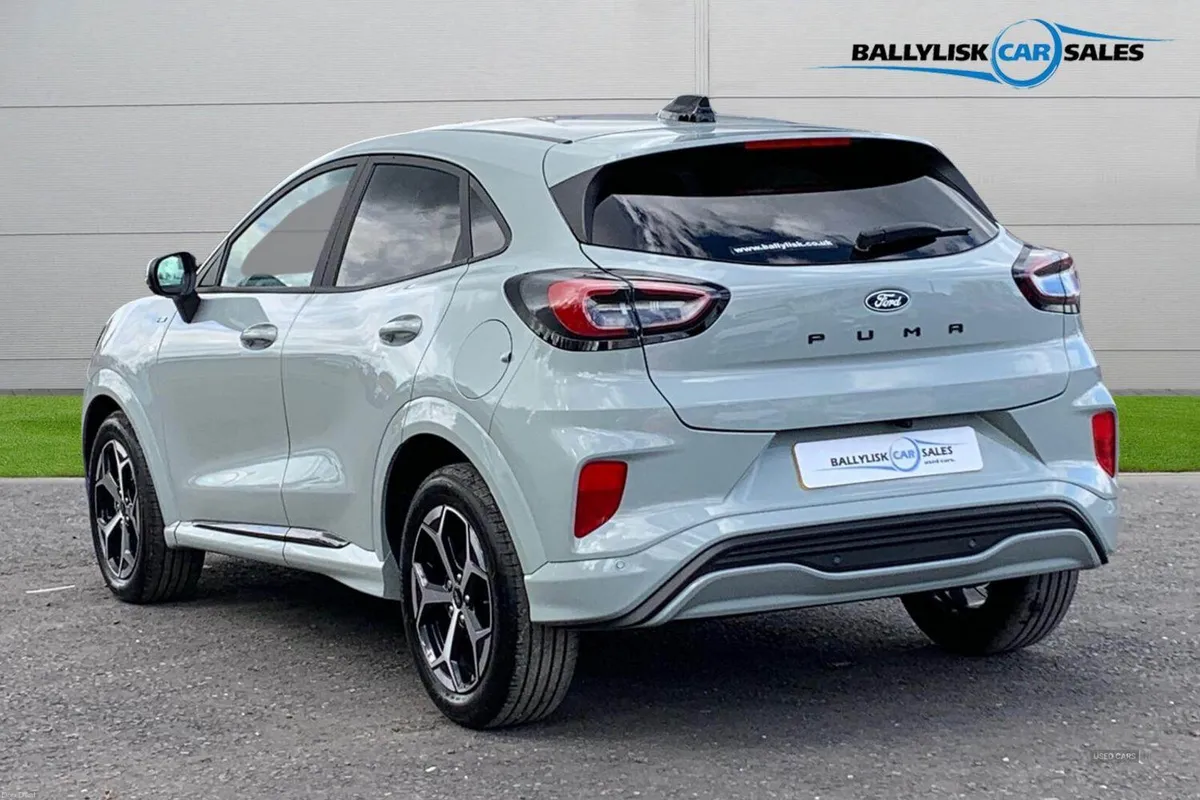 Ford Puma 1.0T 125PS ST-Line Auto in Cactus Grey w - Image 2