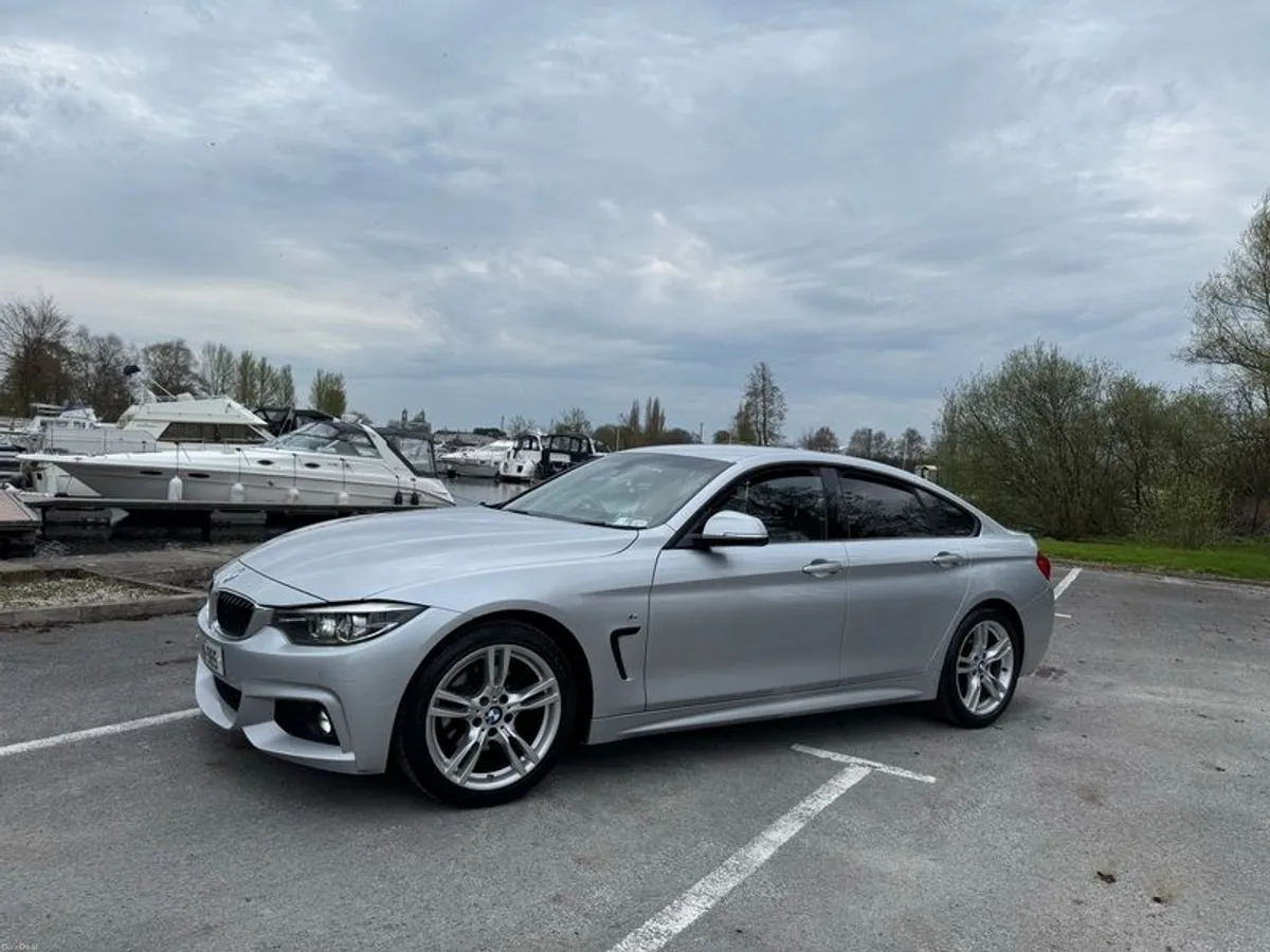 2019 Bmw 4-series M Sport - Image 2
