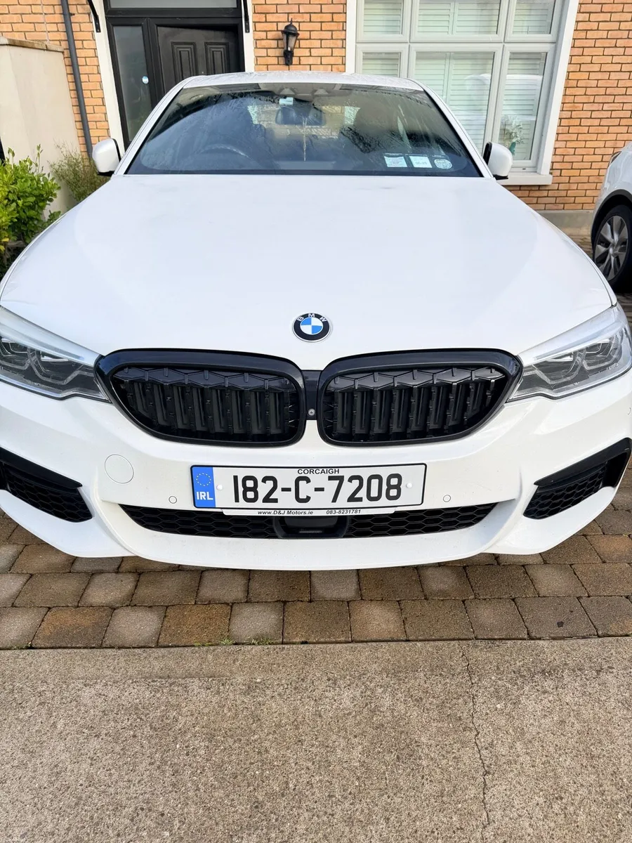 BMW 530E - Image 1