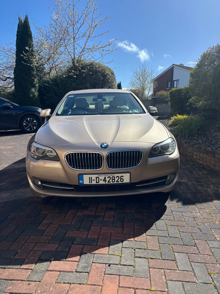2011 BMW 520d SE Saloon 4DR (Gold) - Image 2