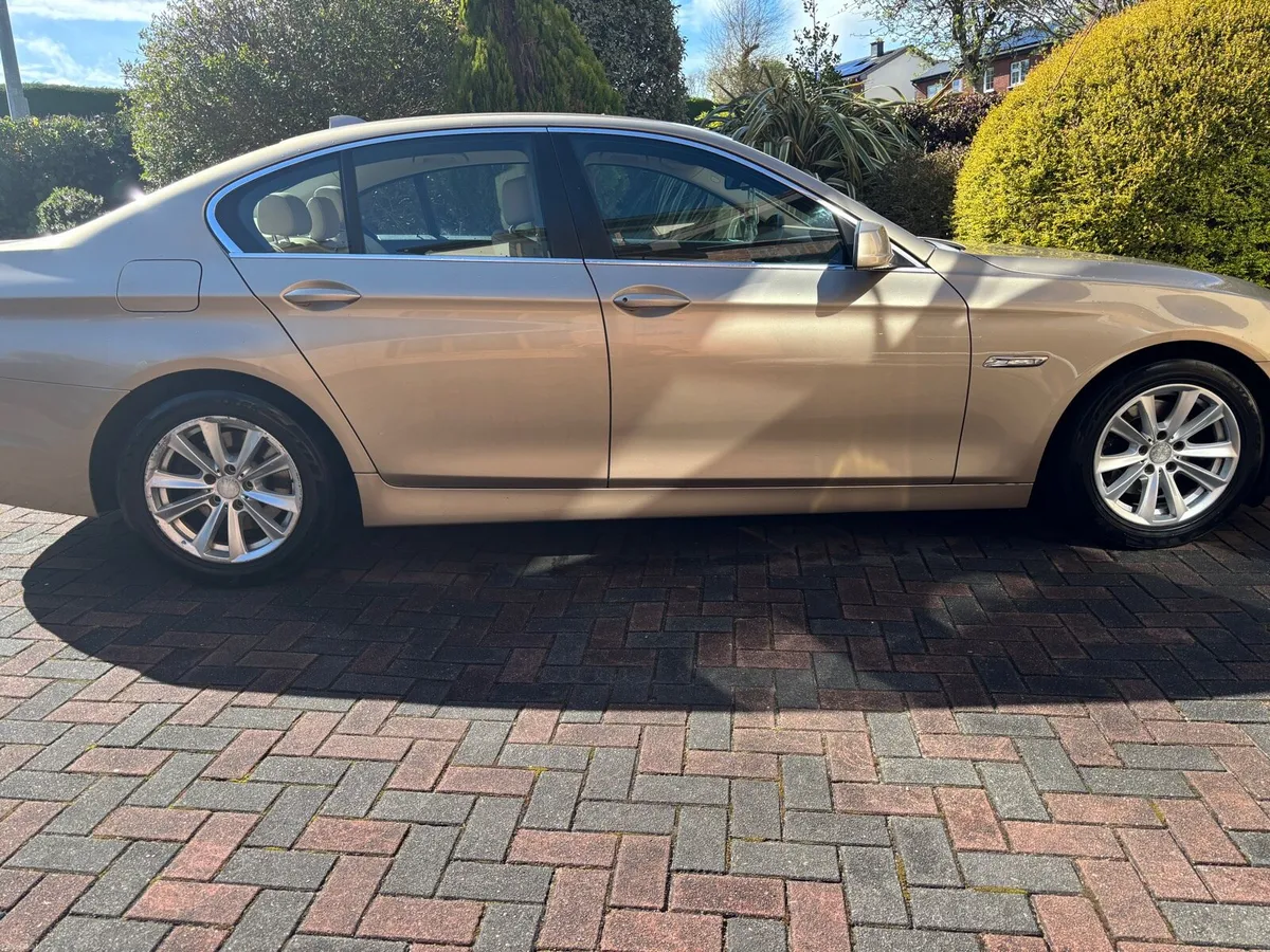 2011 BMW 520d SE Saloon 4DR (Gold) - Image 4