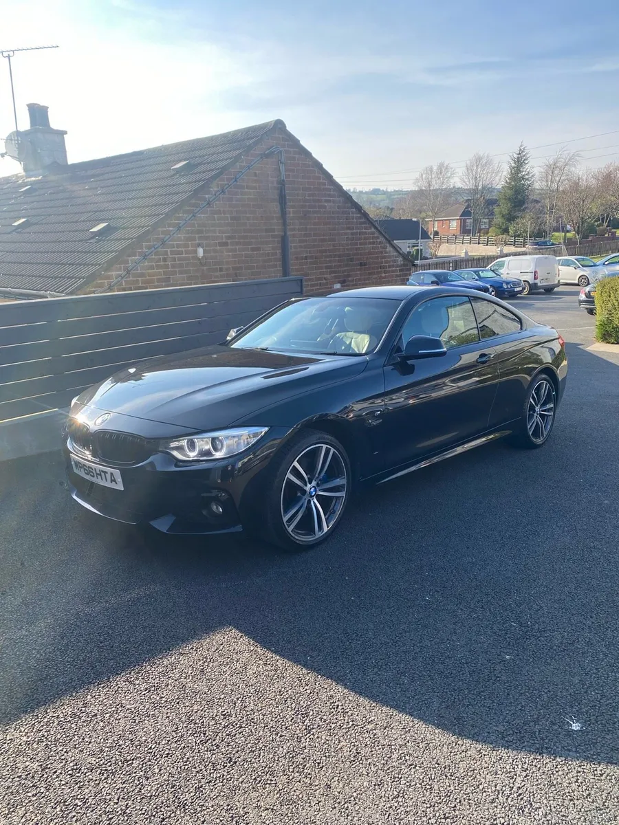 2016 BMW 420d MSport Auto - Image 2