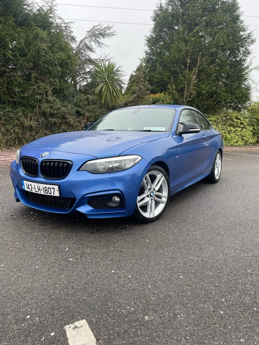 BMW 2 Series M Sport 218d Chain & NCT done - Image 1