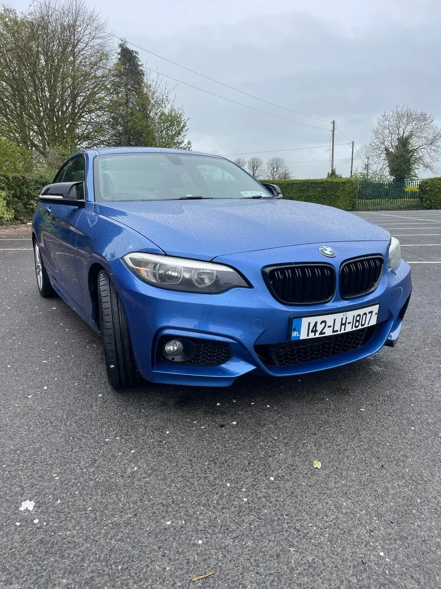 BMW 2 Series M Sport 218d Chain & NCT done - Image 2