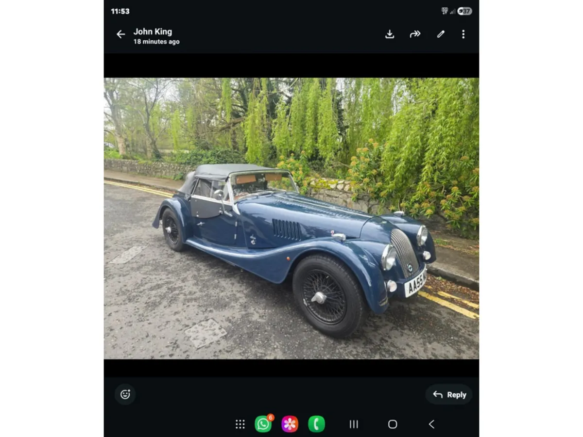 Morgan 4/4 4/4 STUNNING COLOUR COMBO// WELL LOOKED - Image 2