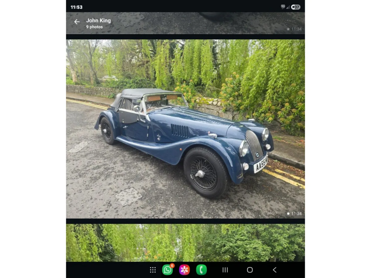 Morgan 4/4 4/4 STUNNING COLOUR COMBO// WELL LOOKED - Image 3