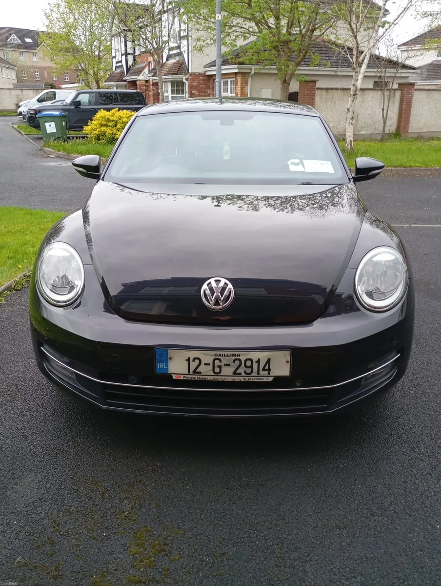 Volkswagen Beetle - Image 2