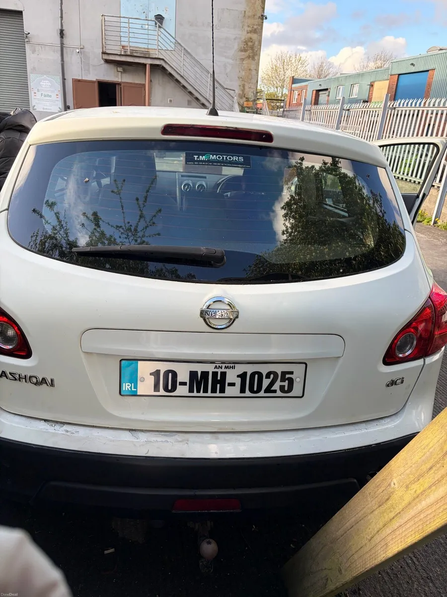 Nisan Qashqsi - Image 2