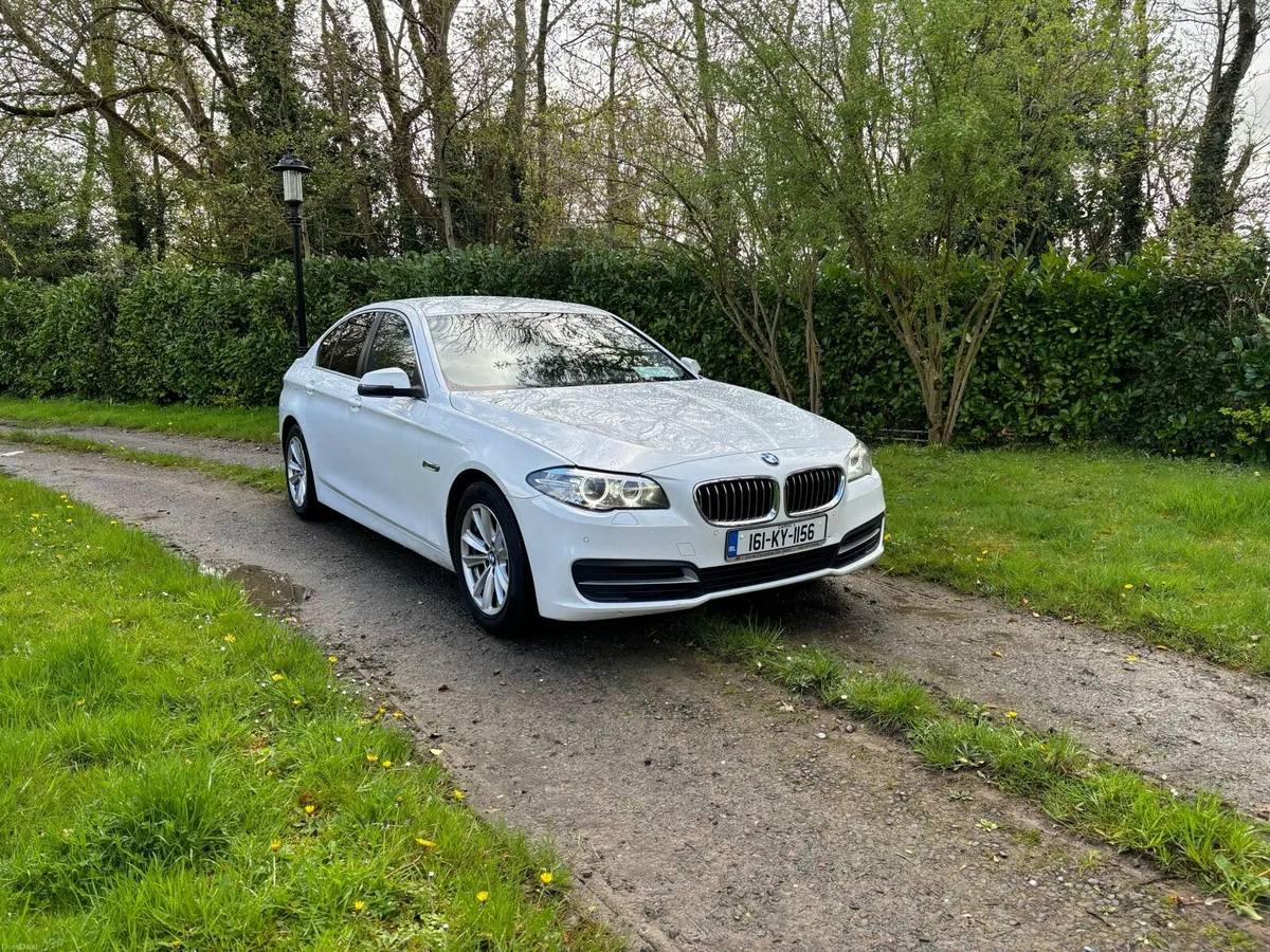 161 BMW 520D - Image 2