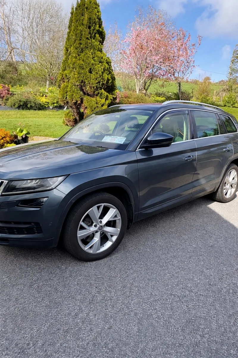 171 Skoda Kodiaq - Image 4
