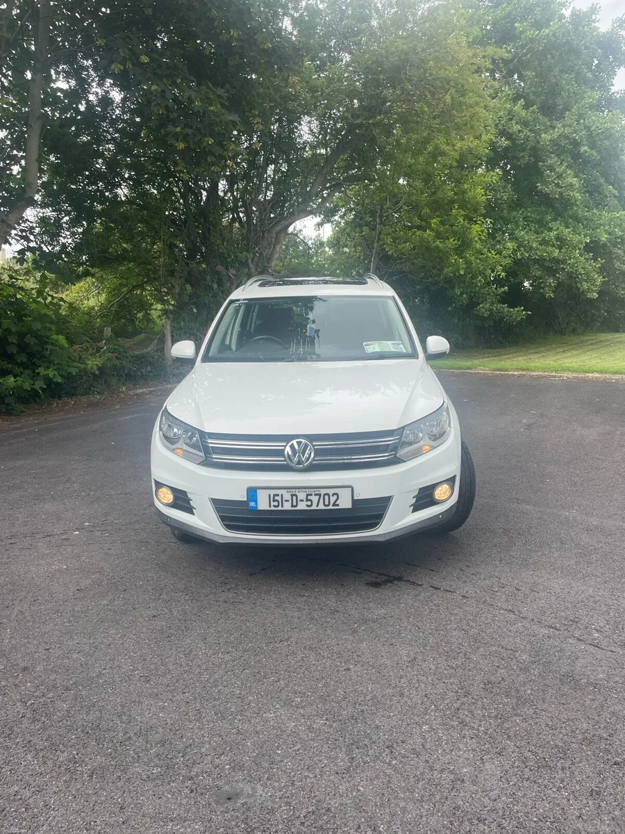 2015 Tiguan - Image 4