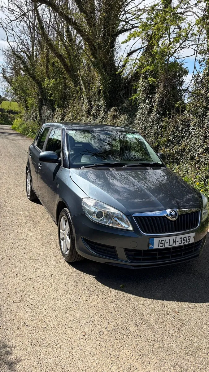 Skoda Fabia - Image 1