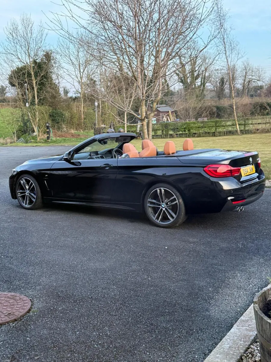 BMW 4 Series 2017 3.0 430d M Sport Auto Euro 6 (s/ - Image 3