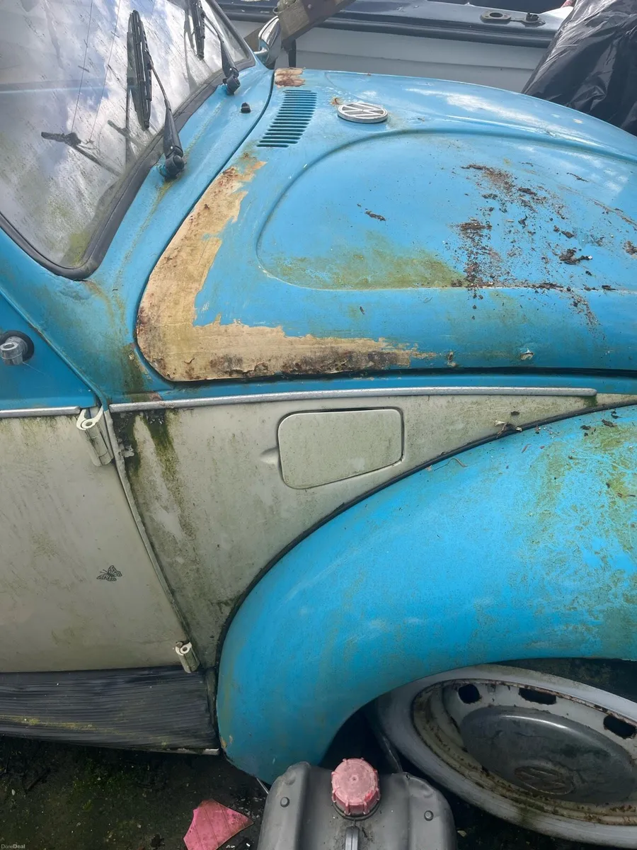 Volkswagen Beatle - Image 3