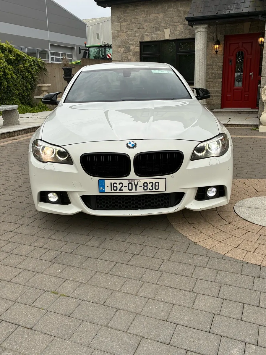 2016 (162) bmw 520d auto m-sport - Image 3
