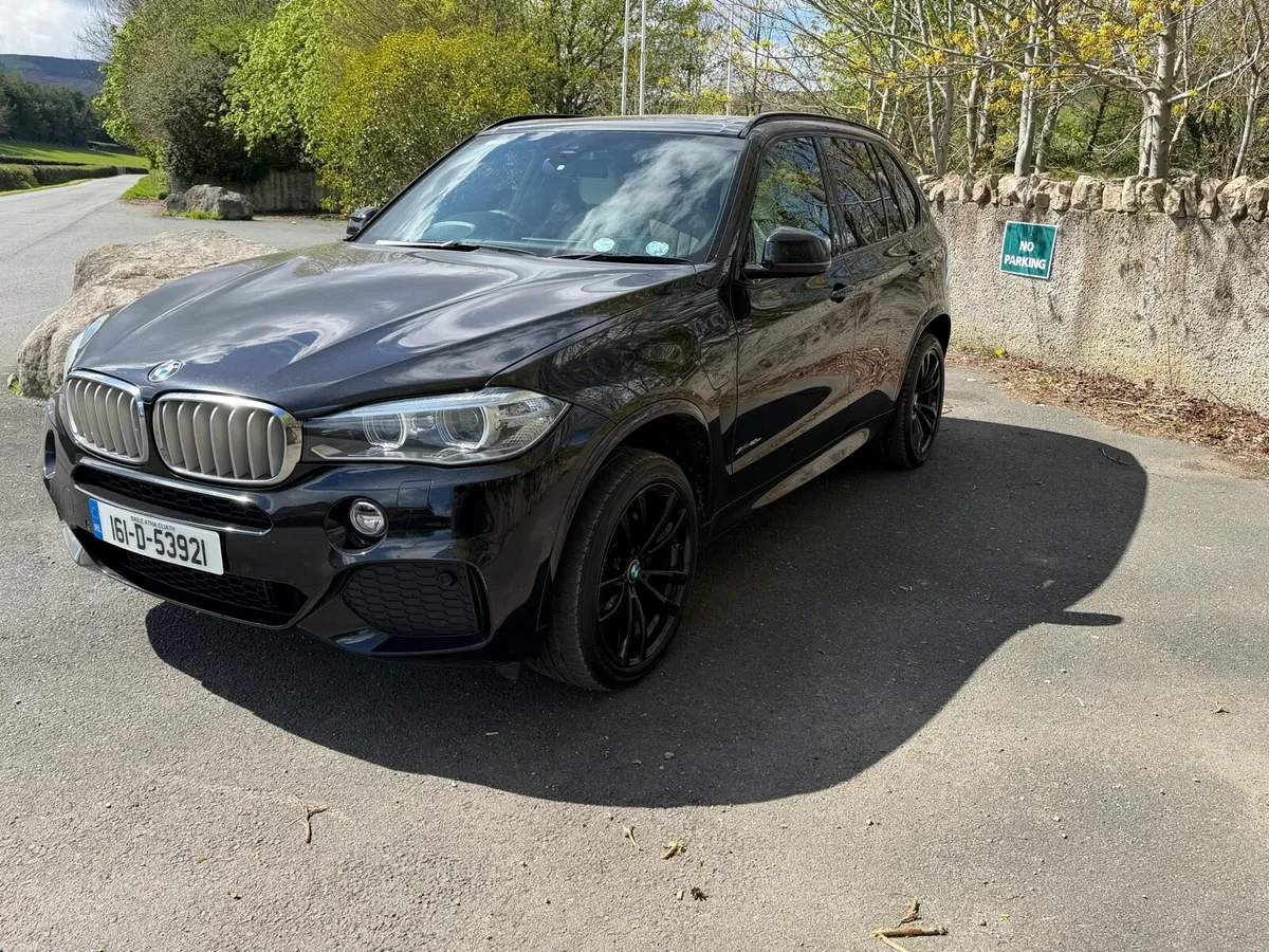 Bmw X5 M Sport 45E Hybrid N1 5 Seater - Image 2