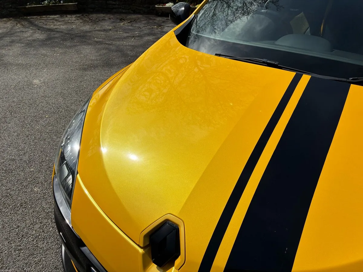 Renault Megane RS265 CUP *Mint Example 53k miles* - Image 2