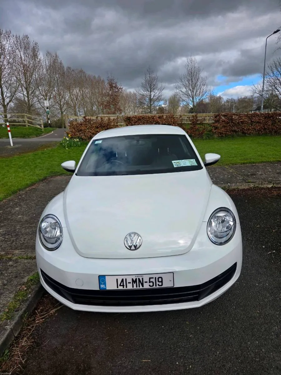 Volkswagen Beetle - Image 1