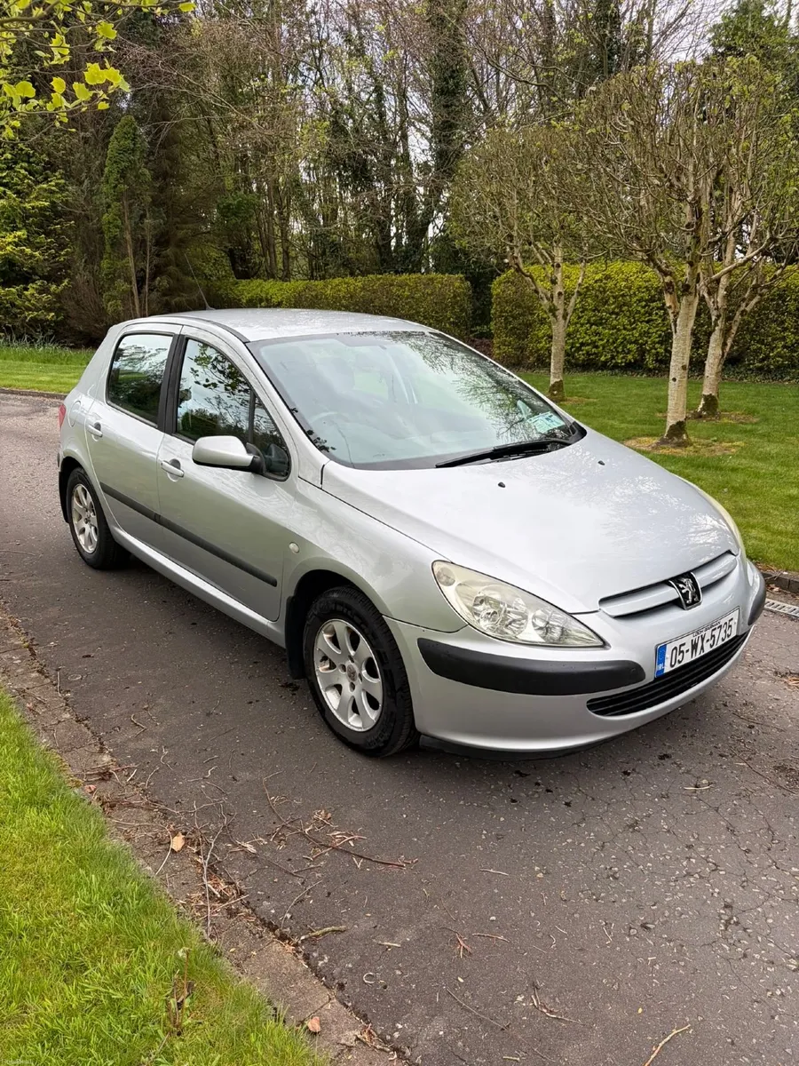Peugeot 307 2005 1.4 Petrol - Image 1