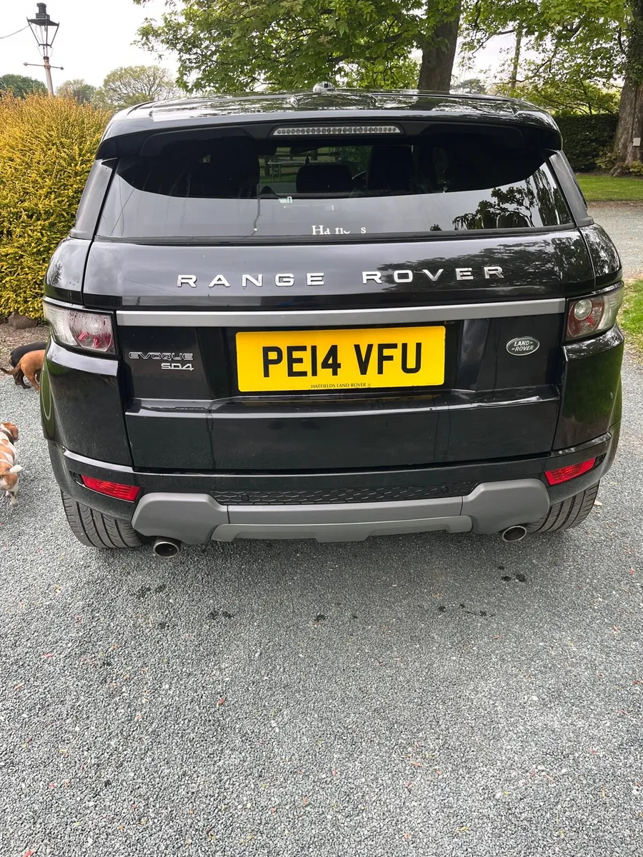 Range Rover Evoque Pure SD4A - Image 2