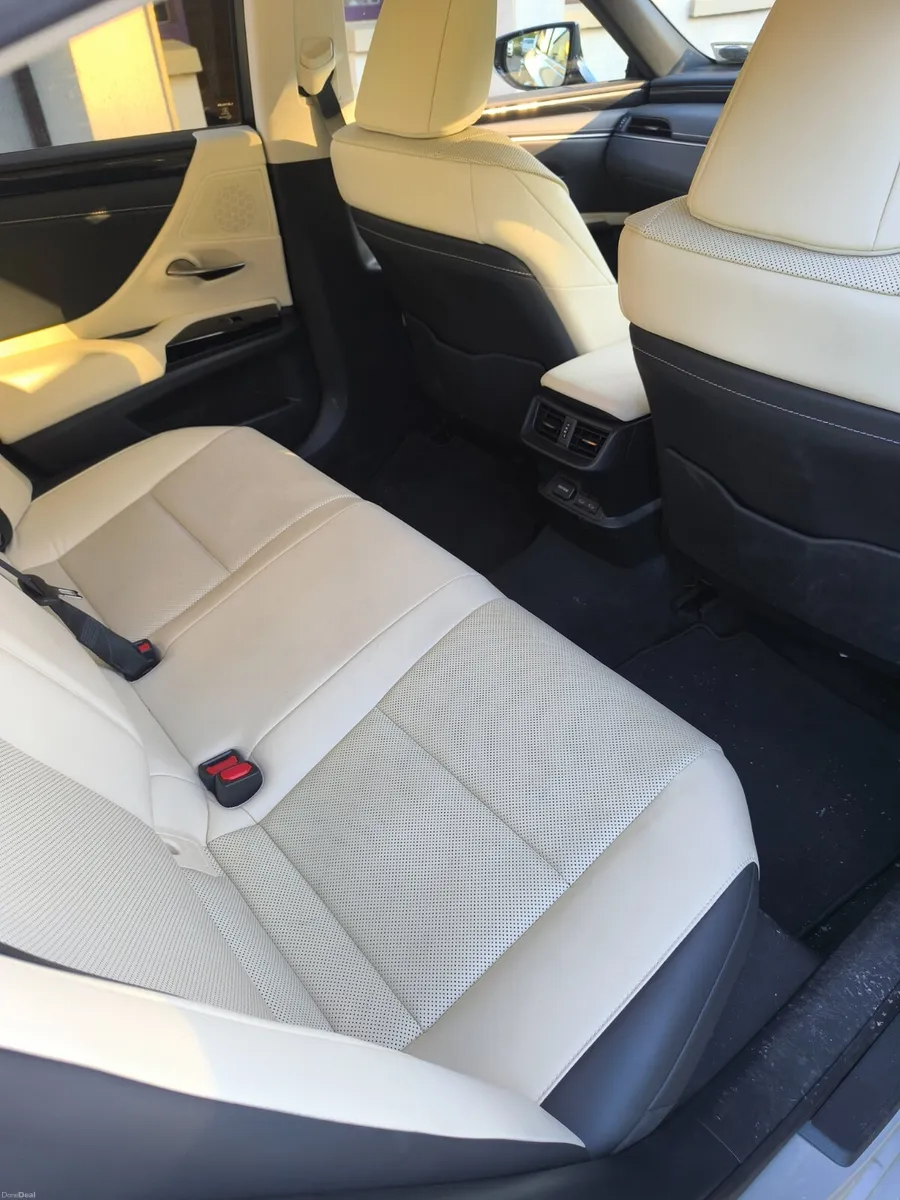 222 Lexus ES 300H Executive - Image 6