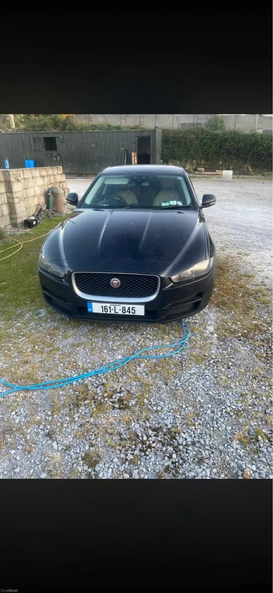 Jaguar - Image 1