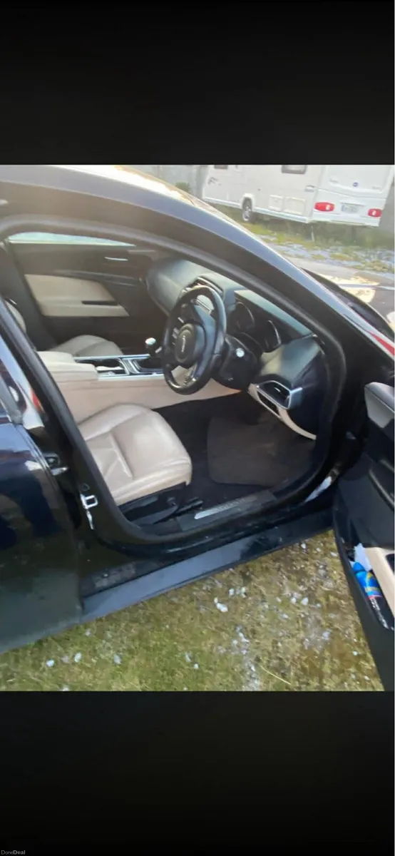 Jaguar - Image 3