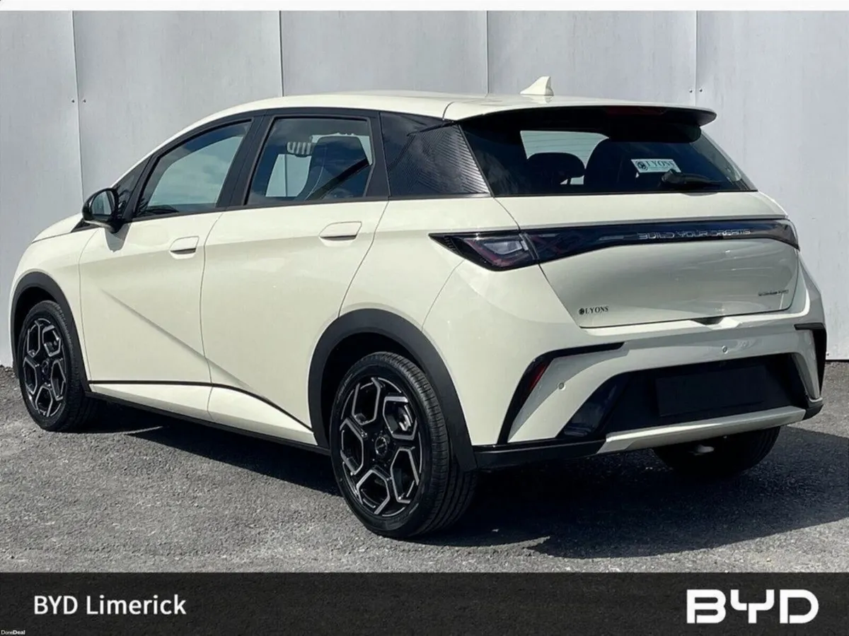 BYD DOLPHIN 1.0 - Image 3