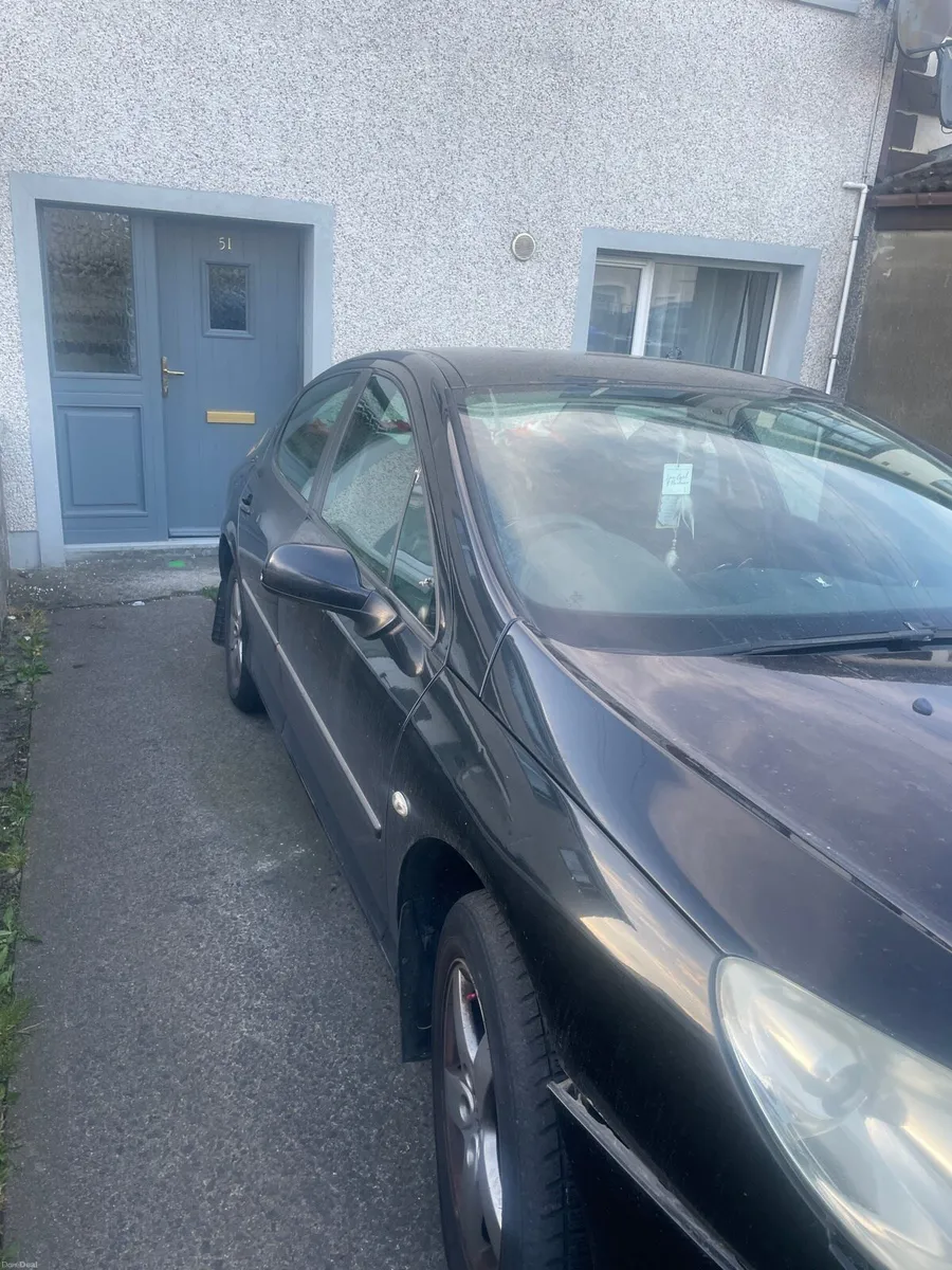 Peugeot 407 - Image 2