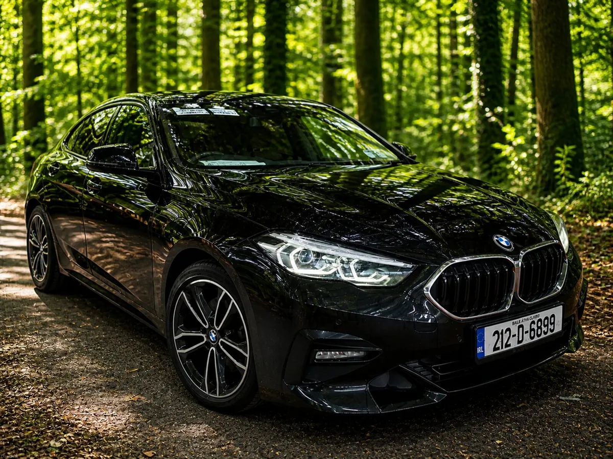 BMW 2-Series 2021 218 Diesel Sport - Image 1