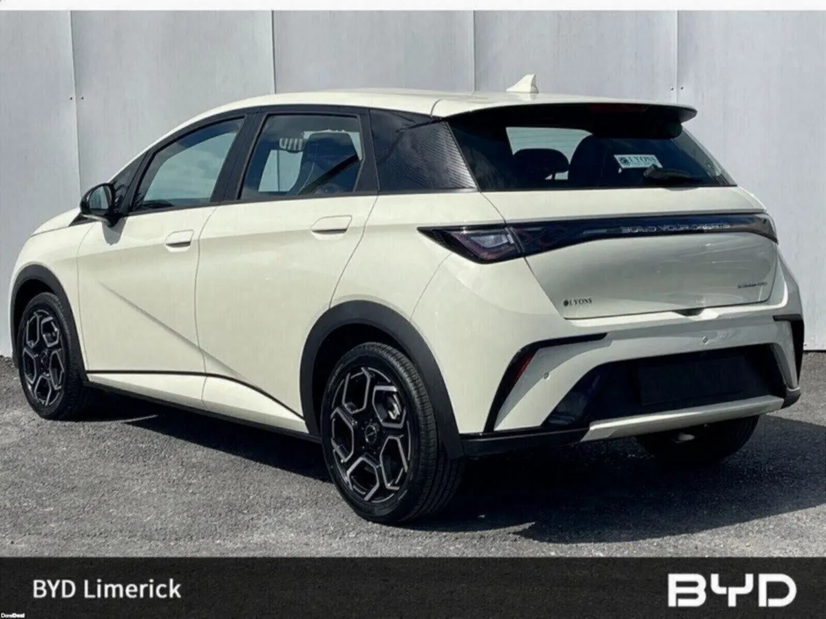 BYD DOLPHIN 1.0 - Image 3