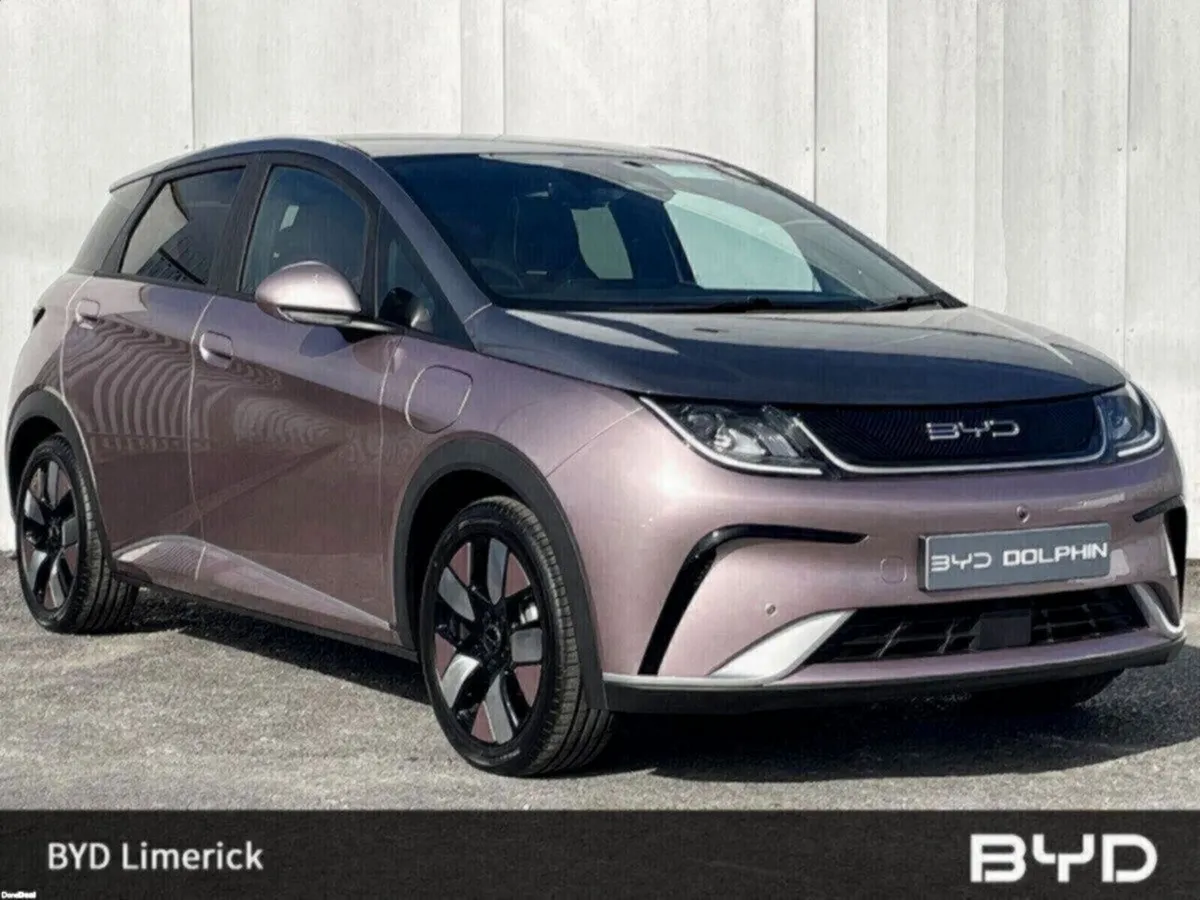 BYD DOLPHIN 1.0 - Image 1