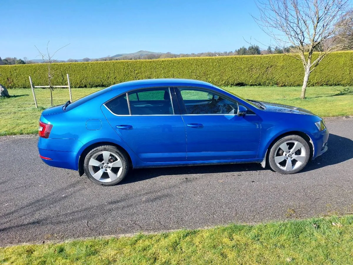 Skoda octavia Ambition 1.6TDI 115HP - Image 3