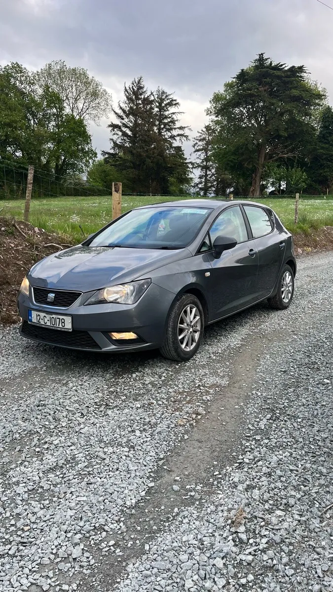 Seat Ibiza - Image 1