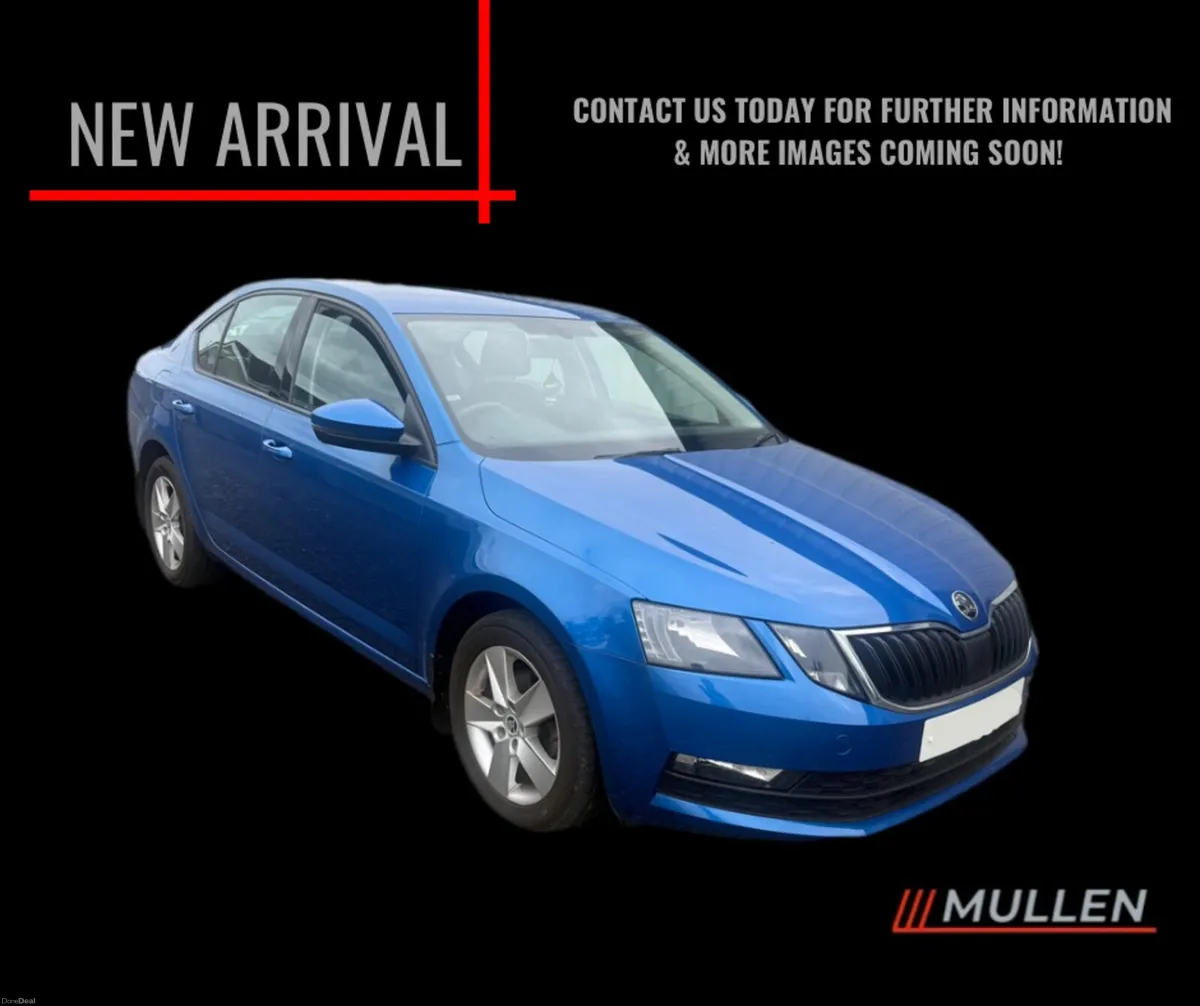 2017 Skoda Octavia 1.6 TDI SE - Image 1