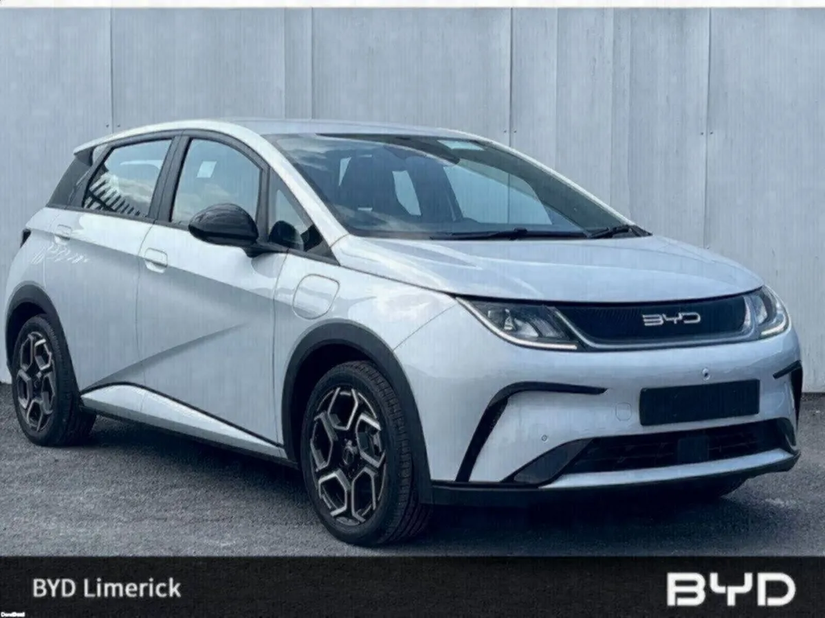 BYD DOLPHIN 1.0 - Image 1