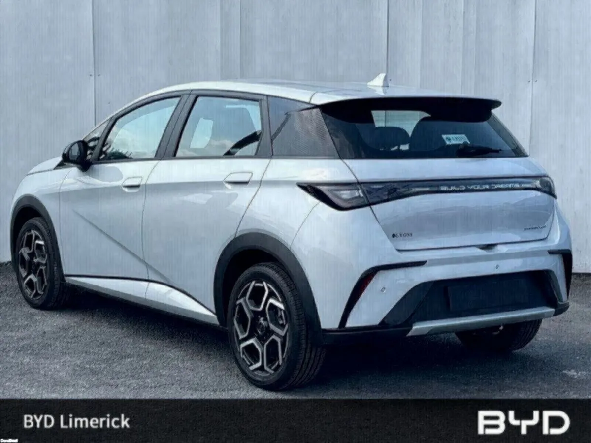 BYD DOLPHIN 1.0 - Image 3