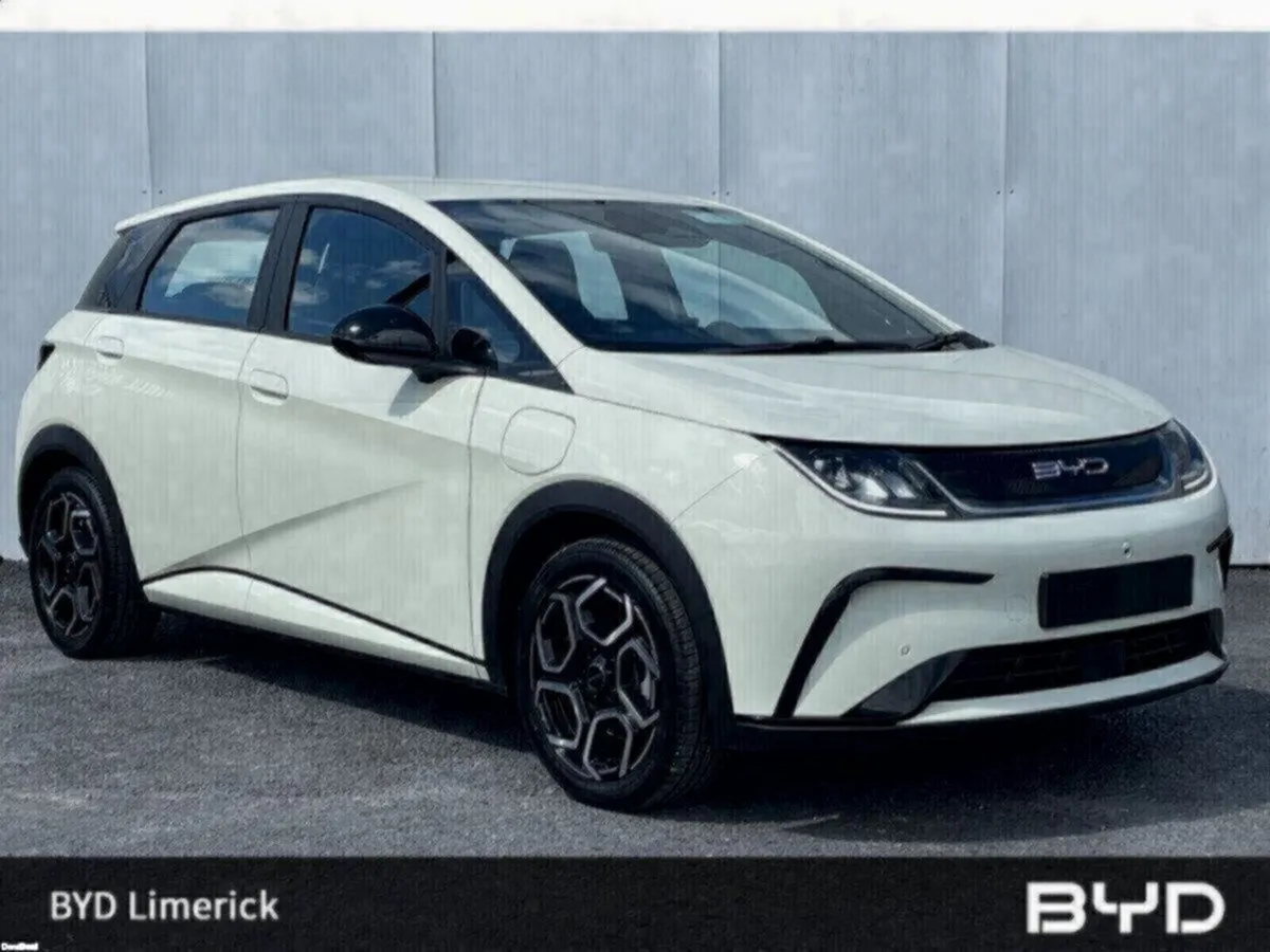 BYD DOLPHIN 1.0 - Image 1