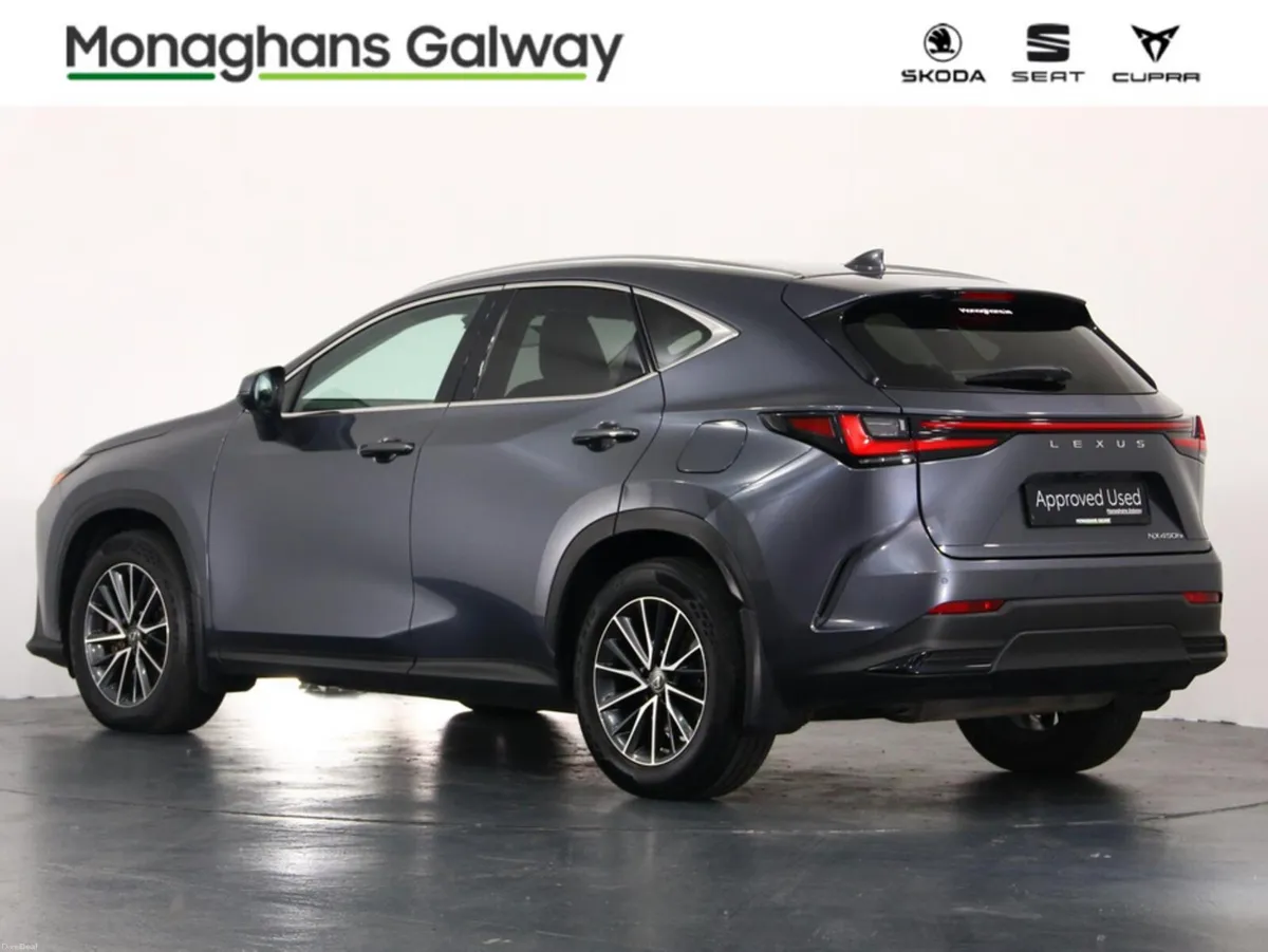 Lexus NX EXECUTIVE AWD 4DR - Image 5