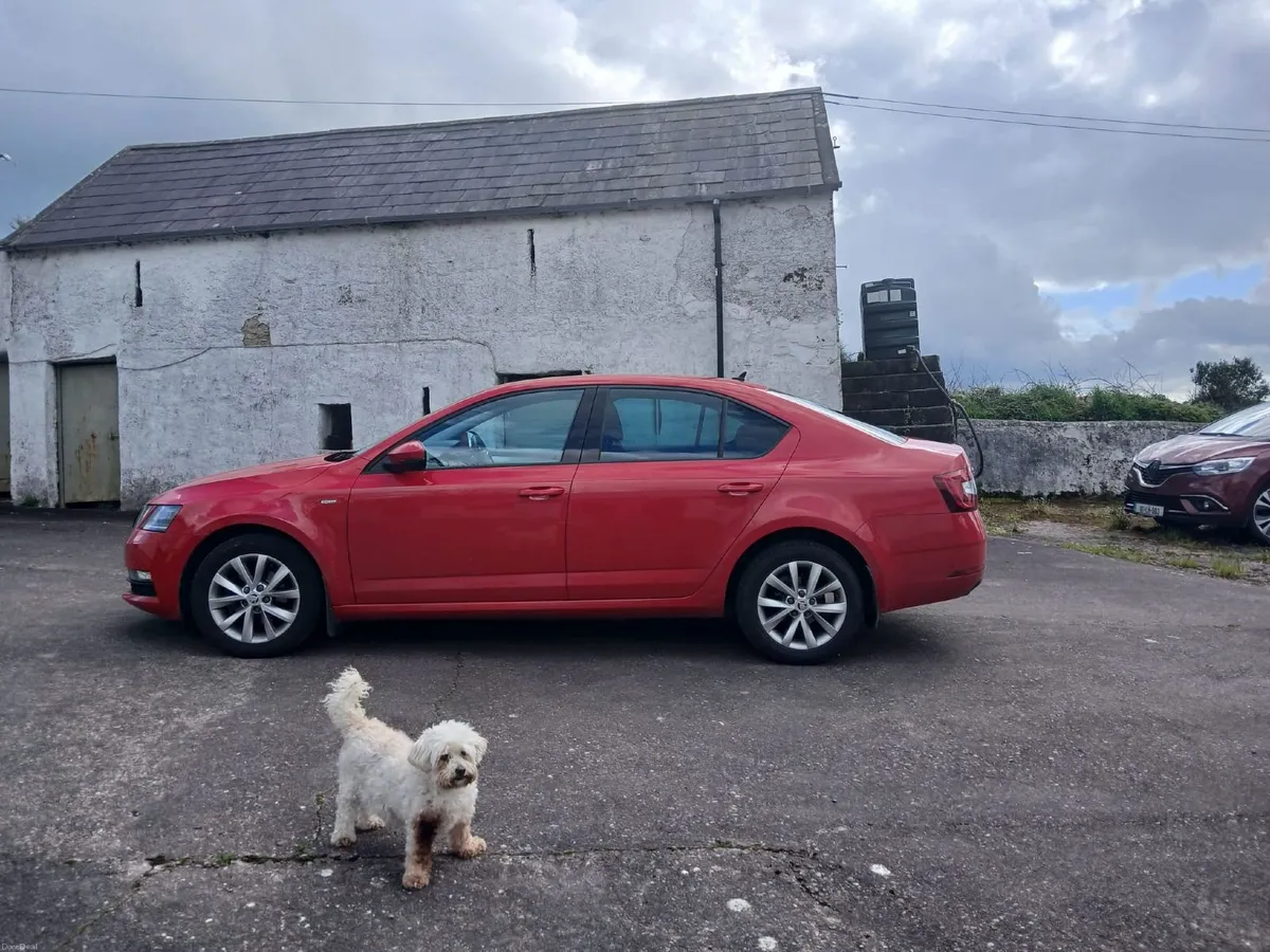 Skoda Octavia 2020 - Image 2
