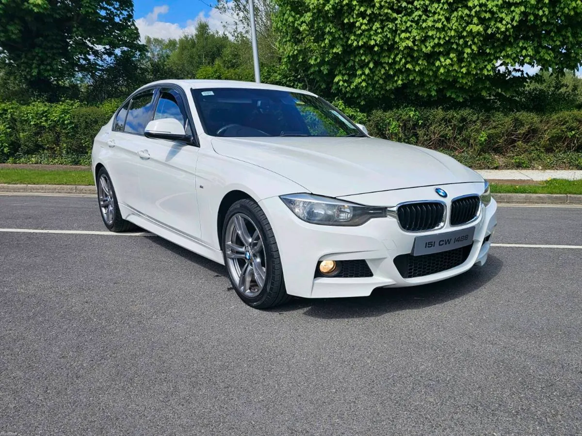 2015 BMW 318D MSPORT (Full 15mth NCT) - Image 2