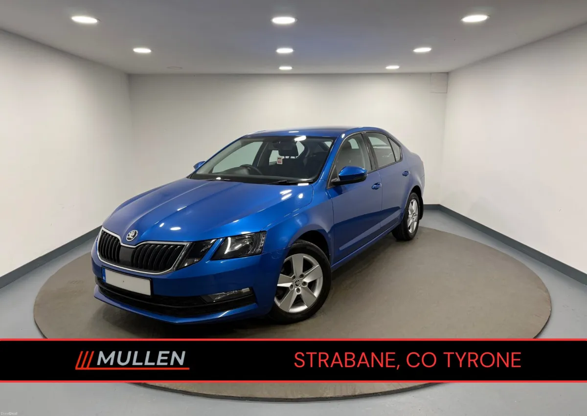 2017 Skoda Octavia 1.6 TDI SE - Image 1