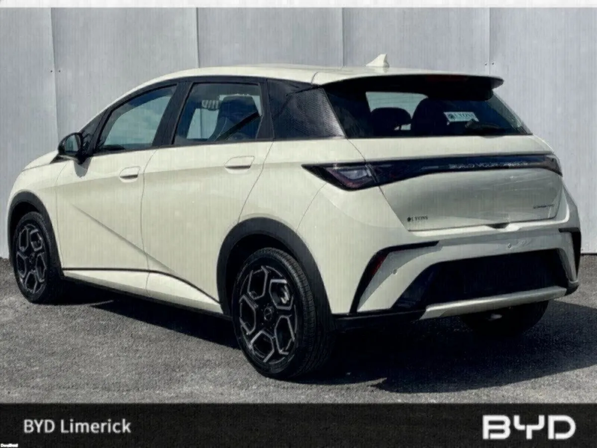 BYD DOLPHIN 1.0 - Image 3