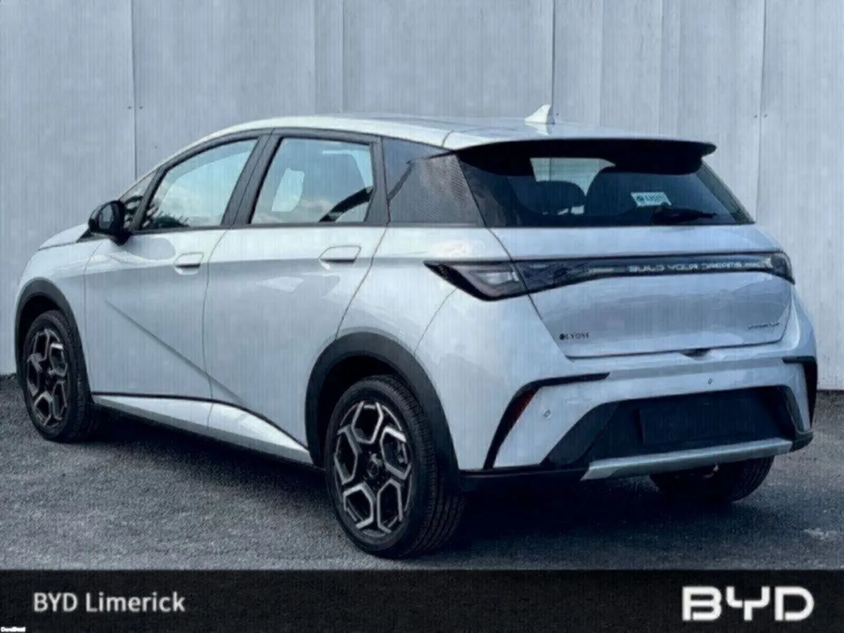 BYD DOLPHIN 1.0 - Image 3