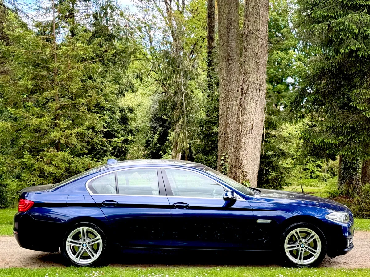 F10 520D SE AUTOMATIC - Image 4