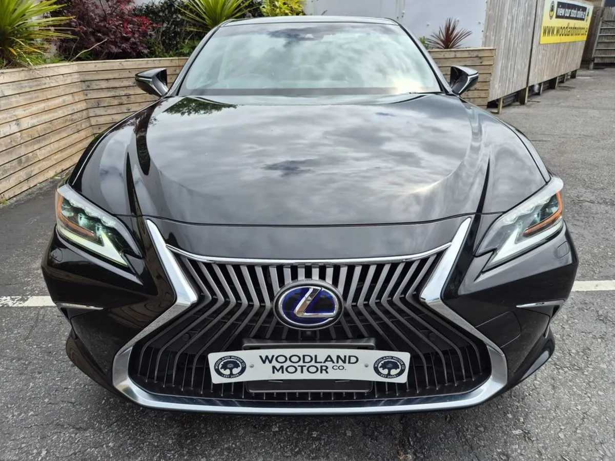 Lexus ES 2.5 HYBRID / TOP LUX SPEC / TAX €190 (202 - Image 4